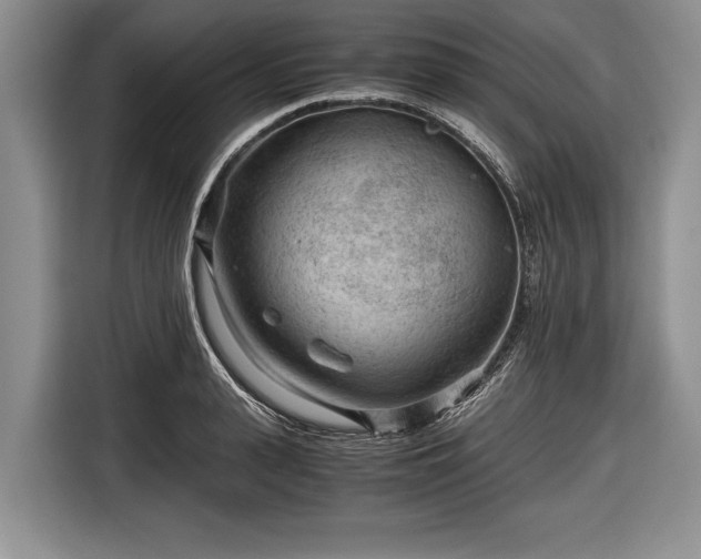 X0000116640943200912210959