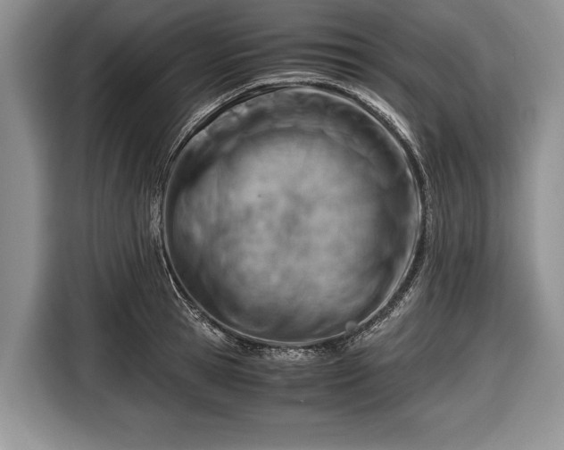 X0000116640945200912210959