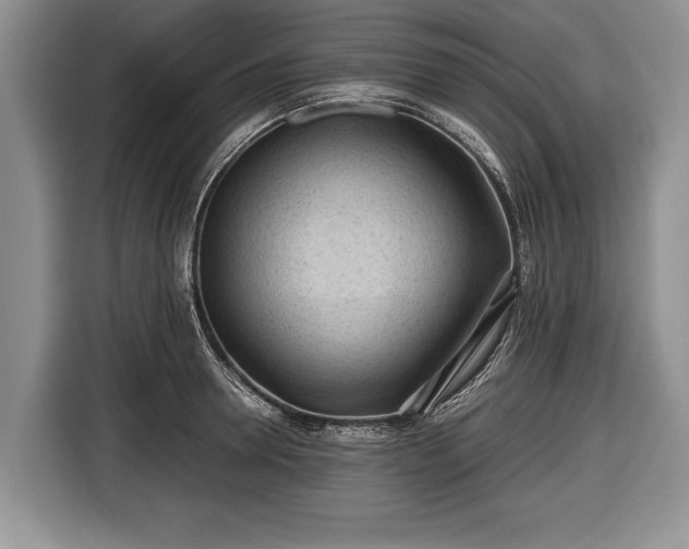 X0000116640946200912210959