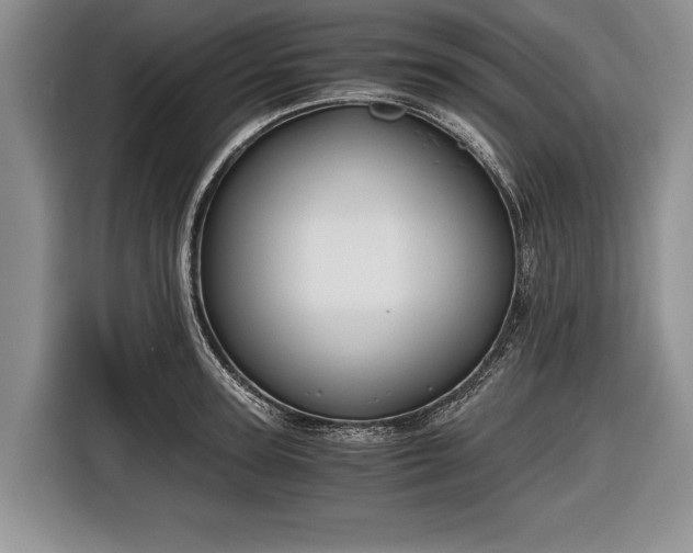 X0000116640947200912210959