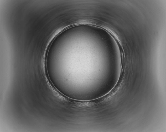 X0000116640949200912210959