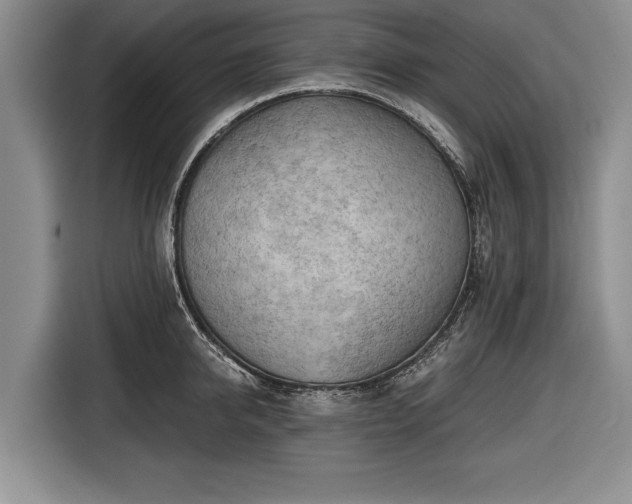 X0000116640950200912210959