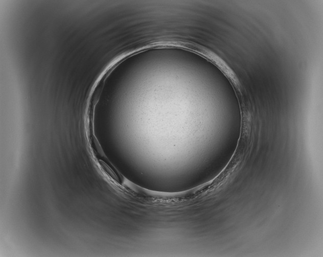 X0000116640955200912210959