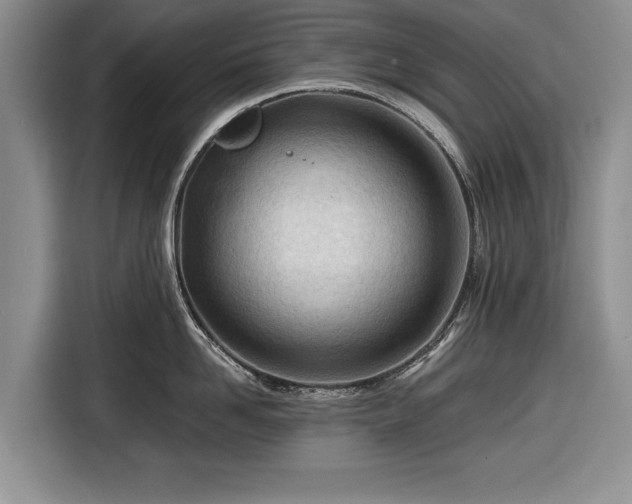 X0000116640958200912210959