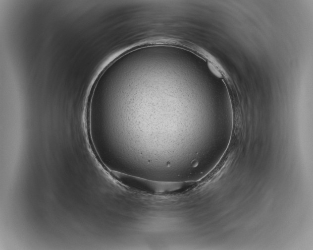 X0000116640959200912210959