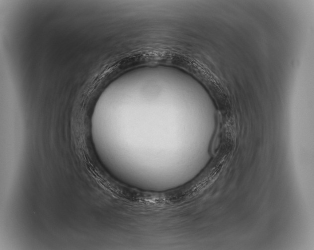 X0000116640961200912210959