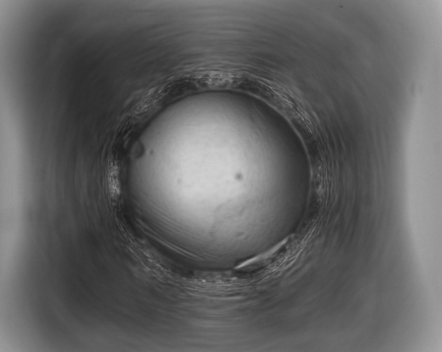 X0000116640962200912210959