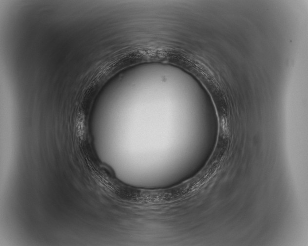 X0000116640963200912210959