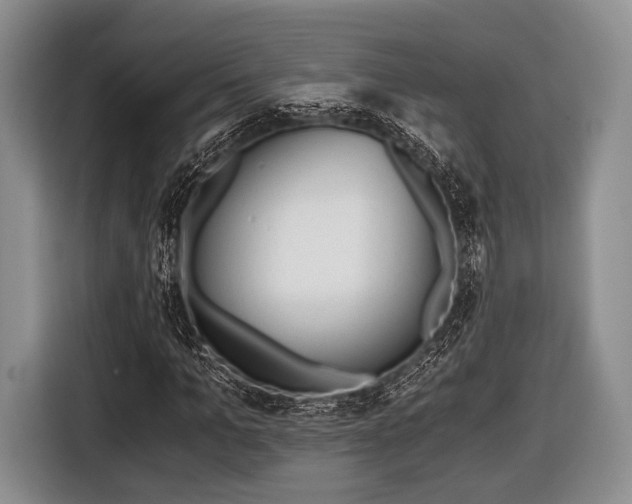 X0000116640965200912210959