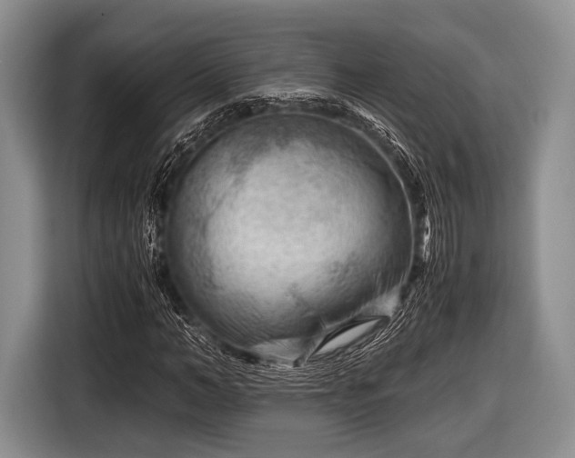 X0000116640966200912210959