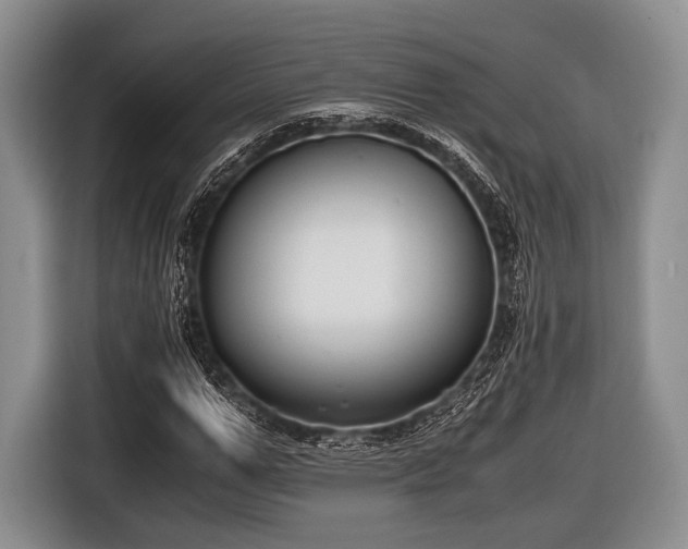 X0000116640967200912210959