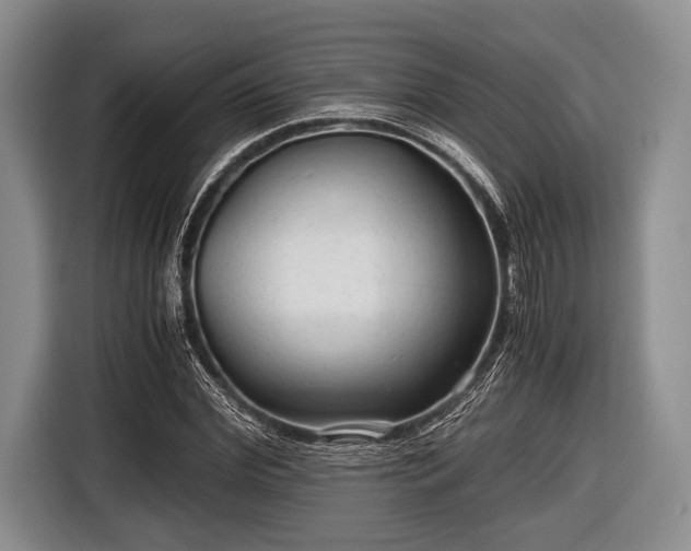 X0000116640972200912210959