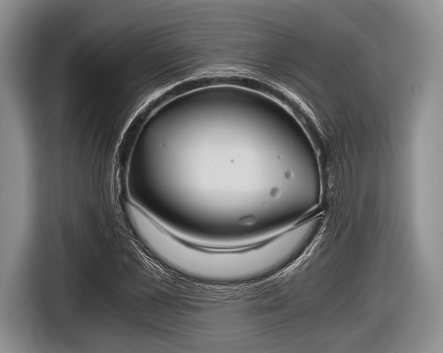 X0000116640973200912210959