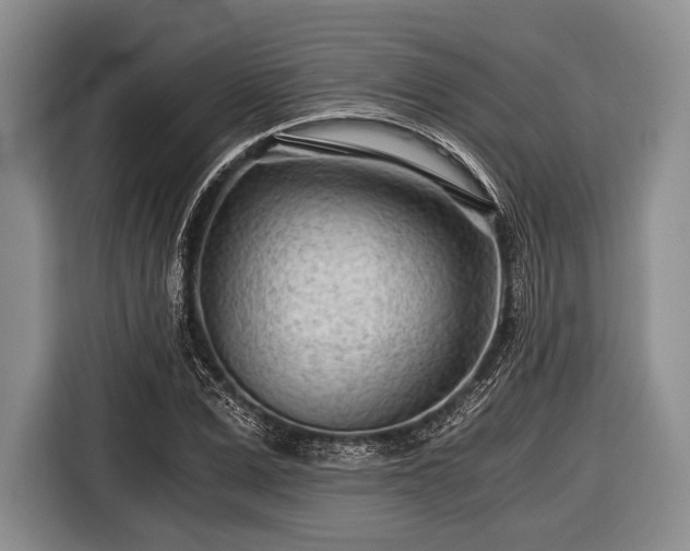 X0000116640975200912210958