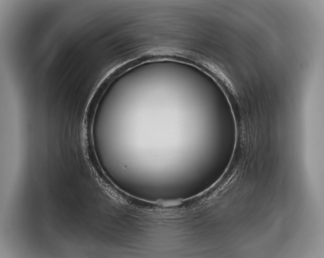 X0000116640976200912210958