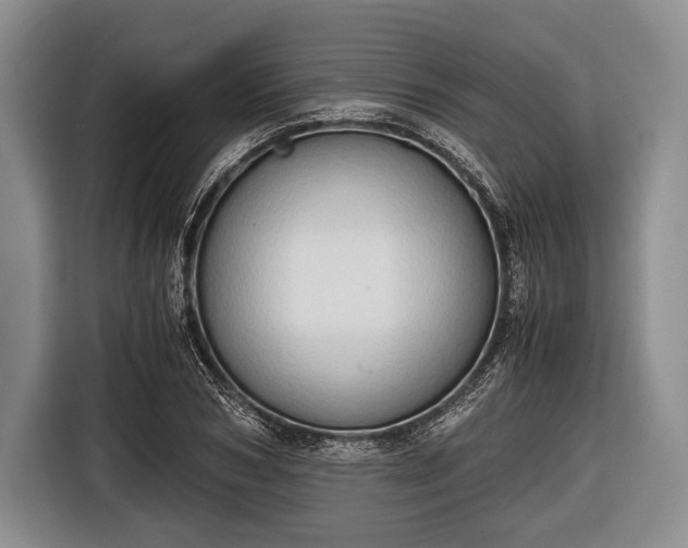 X0000116640978200912210958