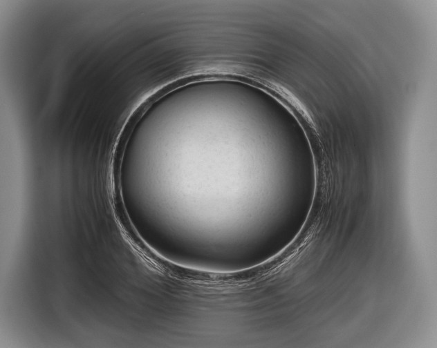 X0000116640980200912210958