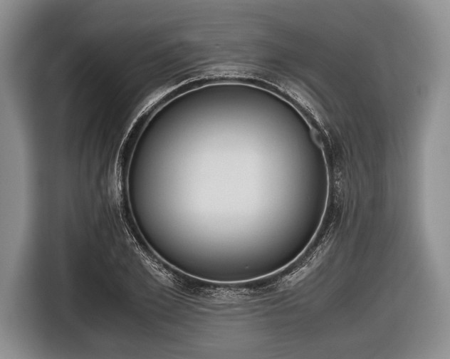 X0000116640981200912210958