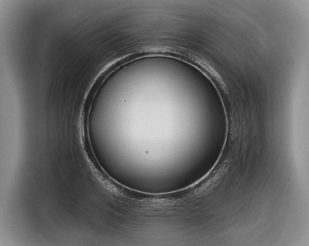 X0000116640984200912210958