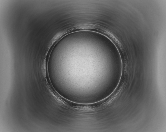 X0000116640986200912210958