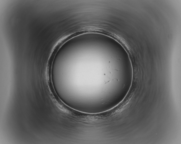 X0000116640987200912210958