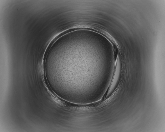 X0000116640988200912210958