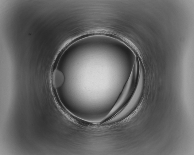 X0000116640989200912210958