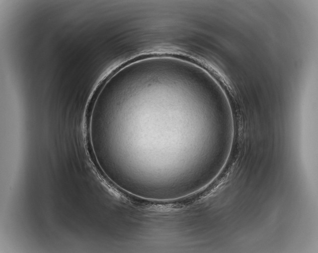 X0000116640990200912210958