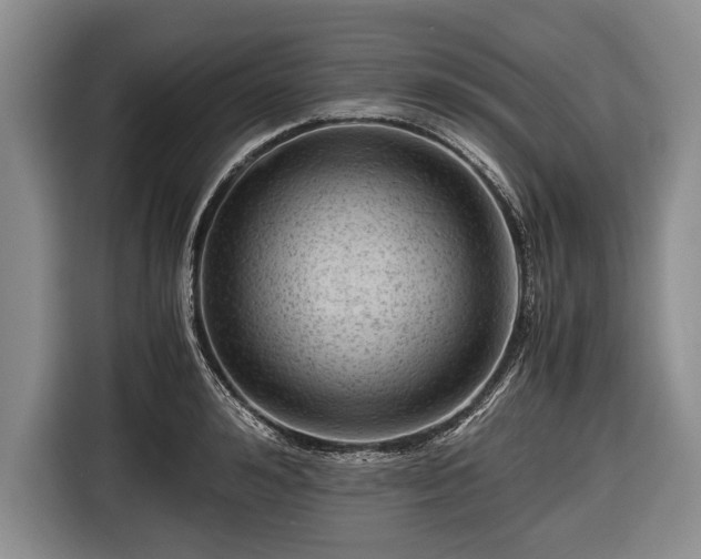 X0000116640992200912210958