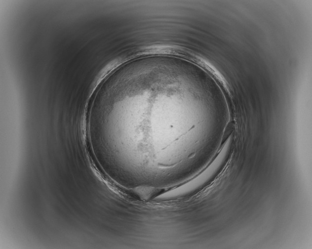 X0000116640994200912210958