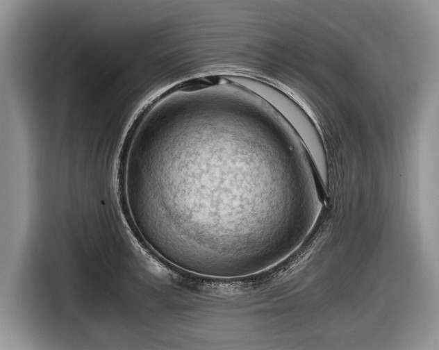 X0000116640995200912210958