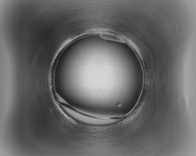 X0000116640997200912210958