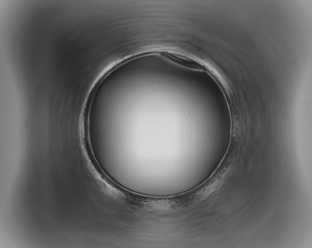 X0000116640999200912210958