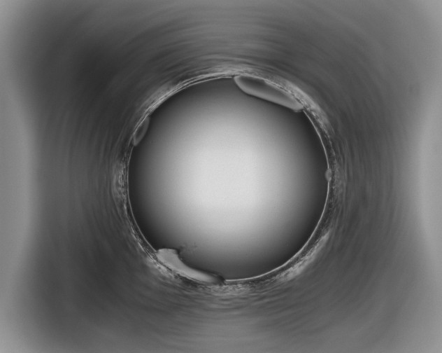 X0000116641001200912210958