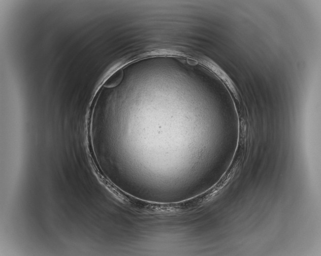 X0000116641002200912210958