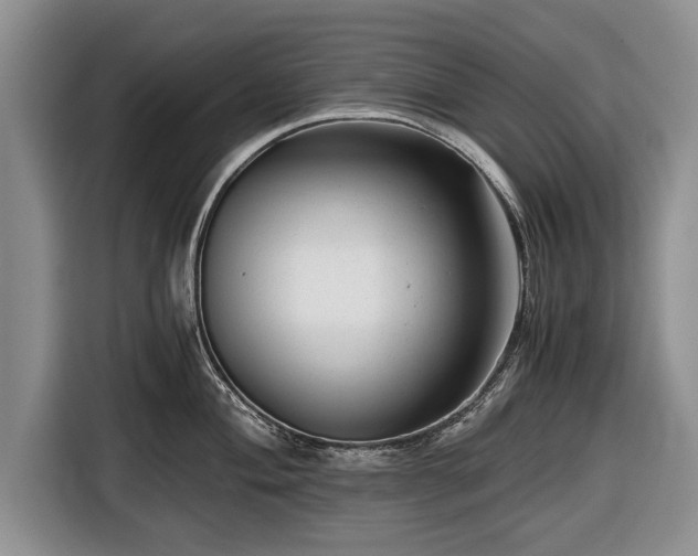 X0000116641004200912210958