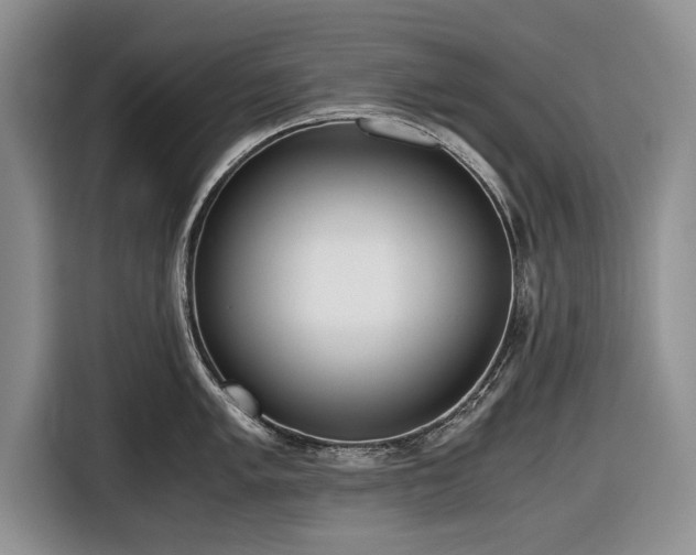 X0000116641005200912210958