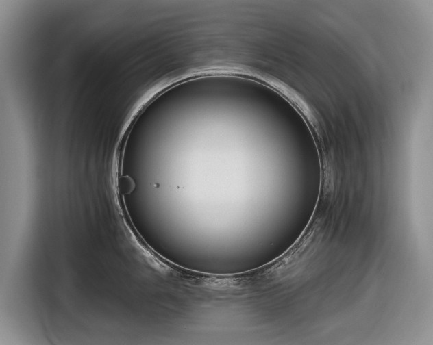 X0000116641006200912210958