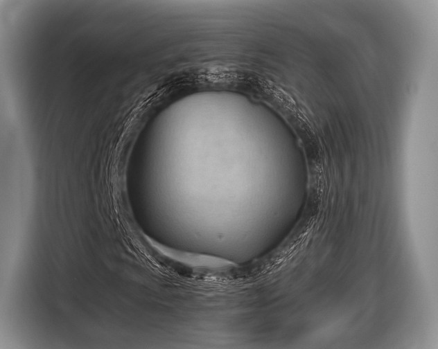 X0000116641009200912210957