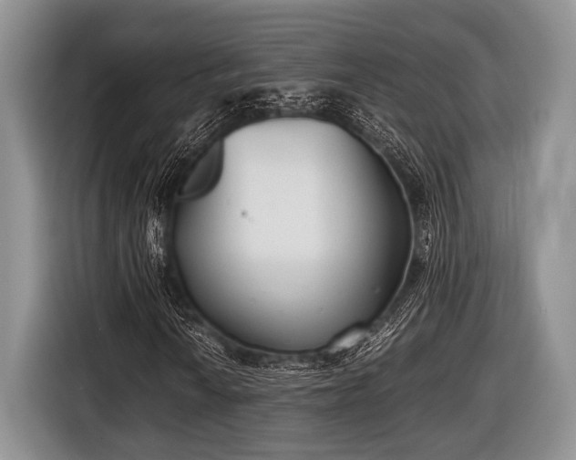 X0000116641010200912210957