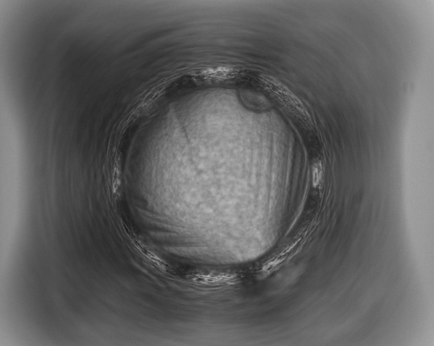 X0000116641011200912210957