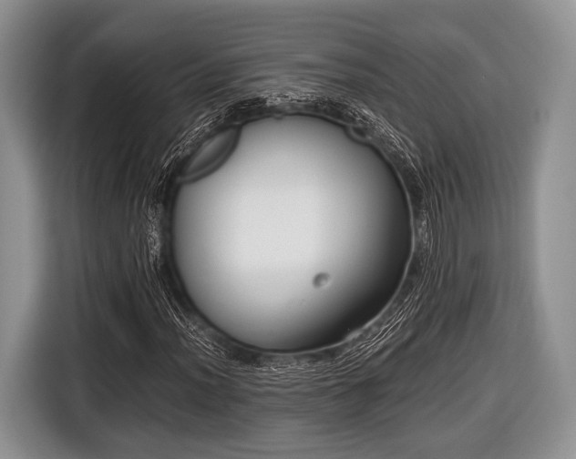 X0000116641012200912210957