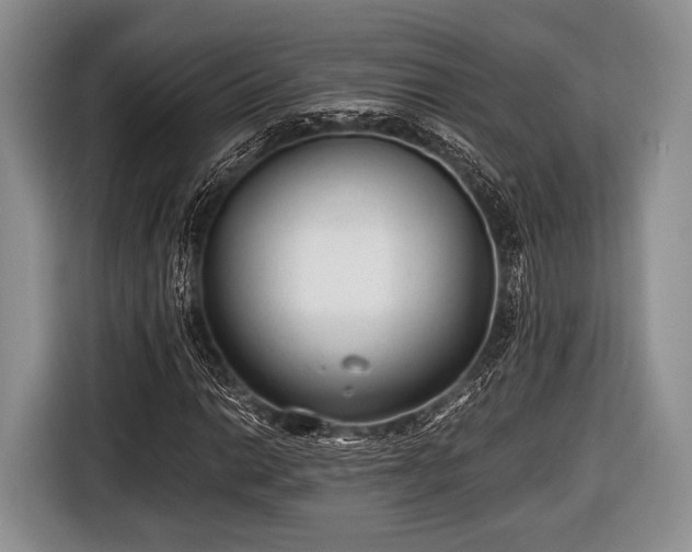 X0000116641014200912210957