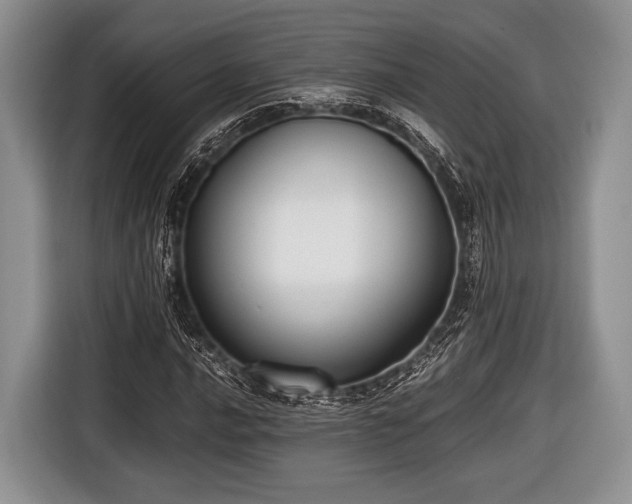 X0000116641016200912210957