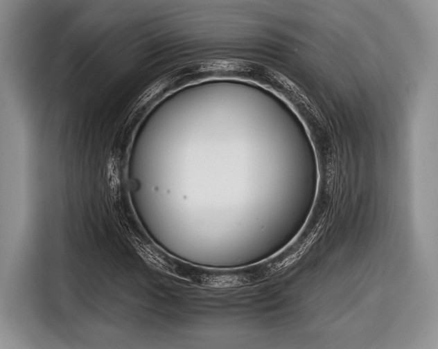 X0000116641017200912210957