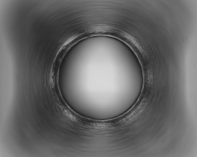 X0000116641018200912210957