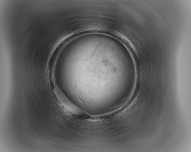 X0000116641019200912210957