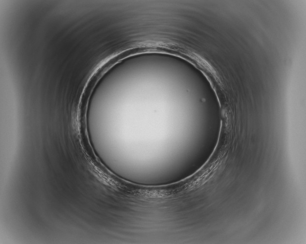 X0000116641020200912210957