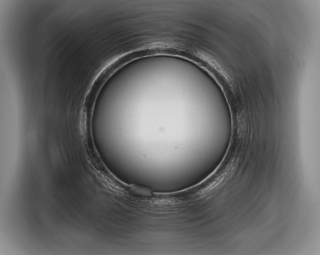 X0000116641021200912210957