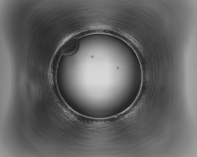 X0000116641022200912210957